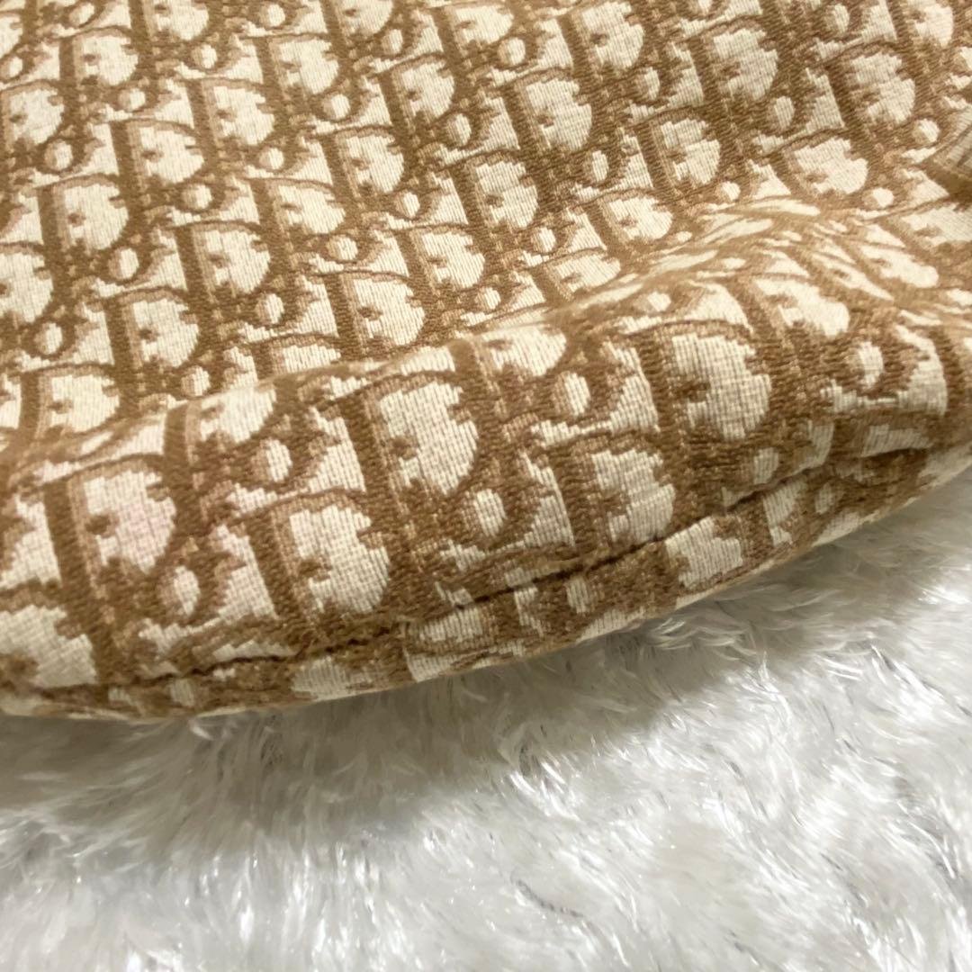 ジ*✨様 ディオール Dior レア トロッター ワンショルダーバッグ