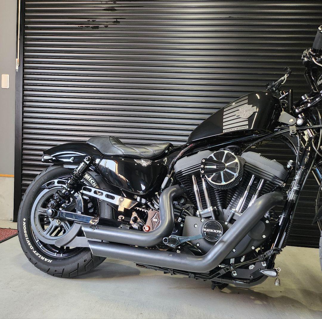 ワールドウォーク スポーツスターサスペンション wxl-10b