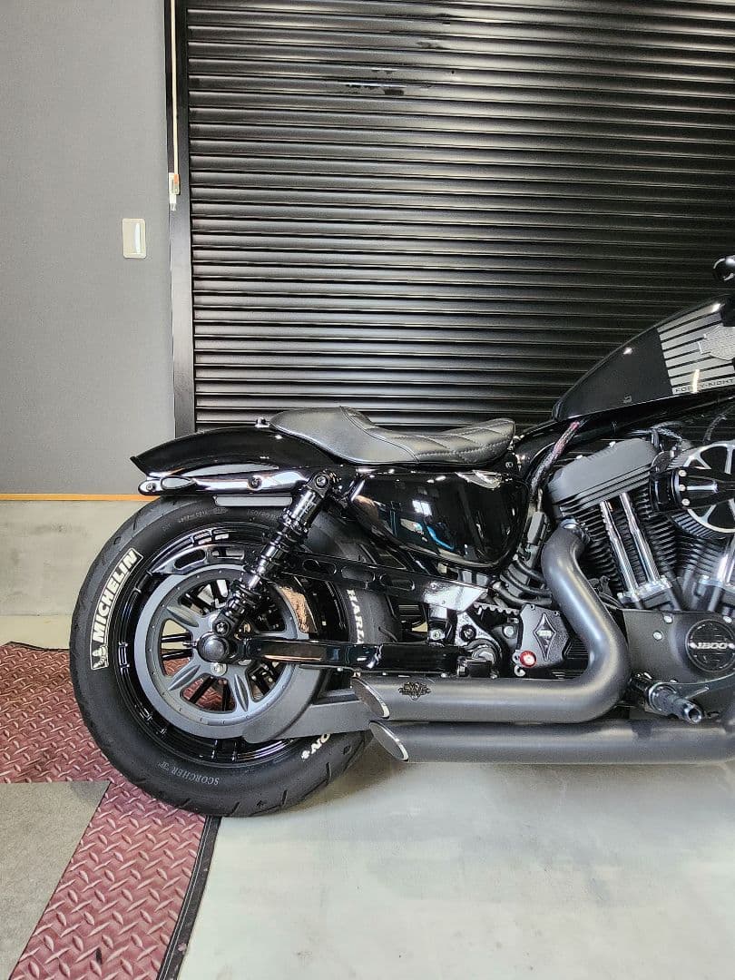 ワールドウォーク スポーツスターサスペンション wxl-10b