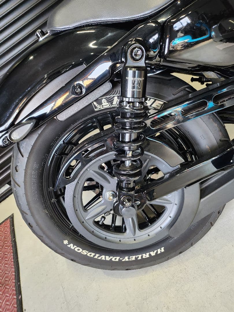 ワールドウォーク スポーツスターサスペンション wxl-10b