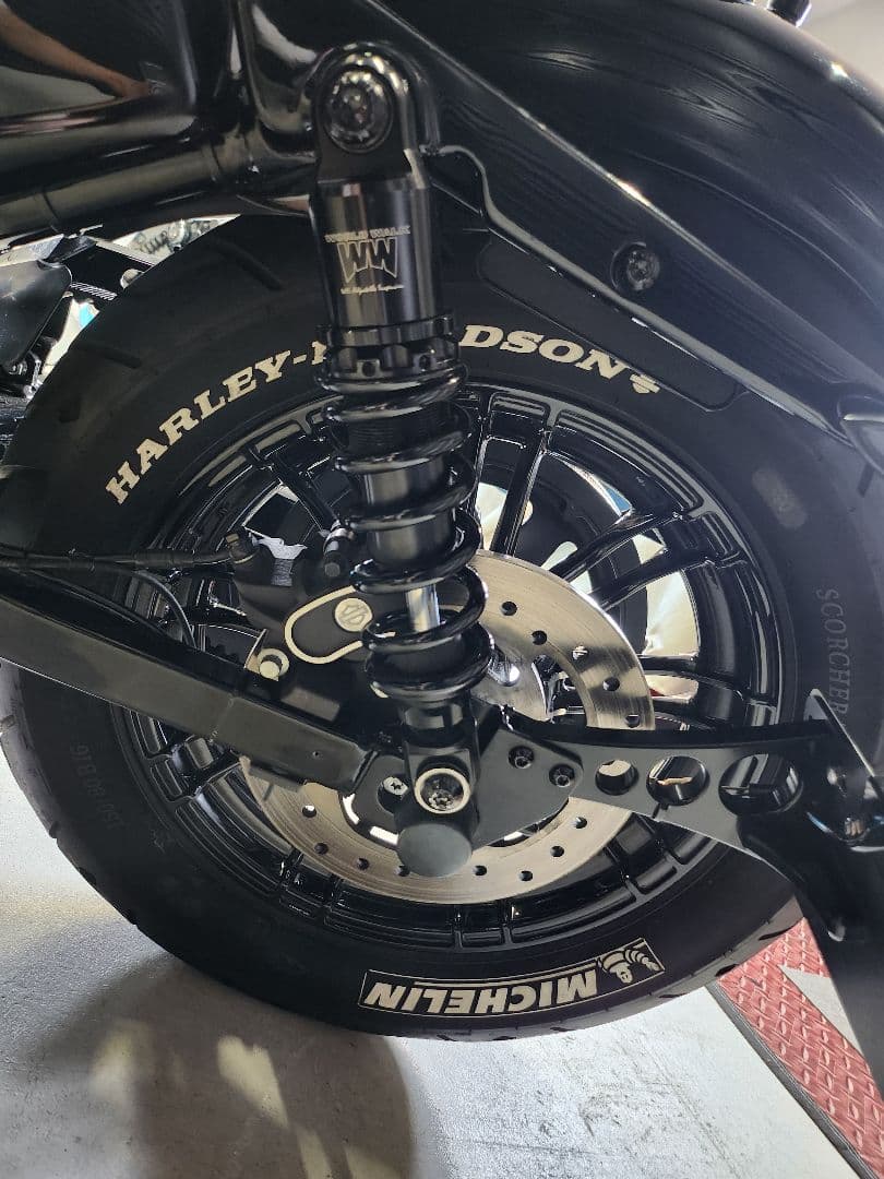 ワールドウォーク スポーツスターサスペンション wxl-10b