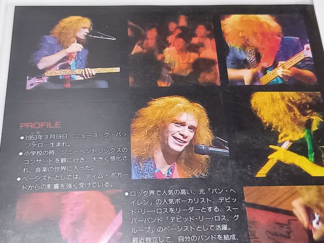 Billy sheehan『in Japan』非売品レアビデオ