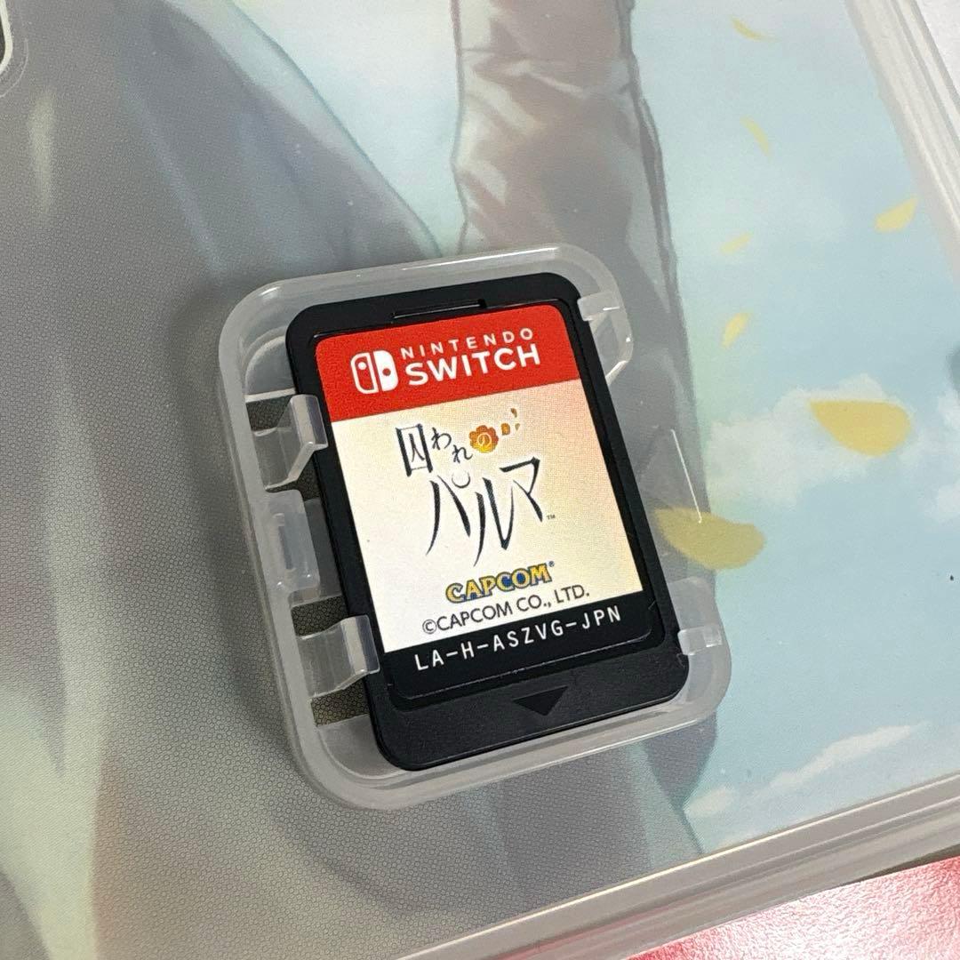 囚われのパルマ Deluxe Edition ニンテンドーSwitch