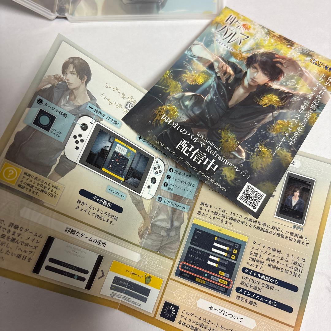 囚われのパルマ Deluxe Edition ニンテンドーSwitch