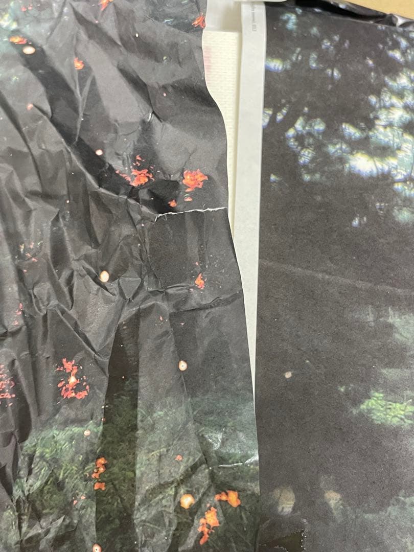 志賀理江子 螺旋海岸 notebook 直筆サイン入り