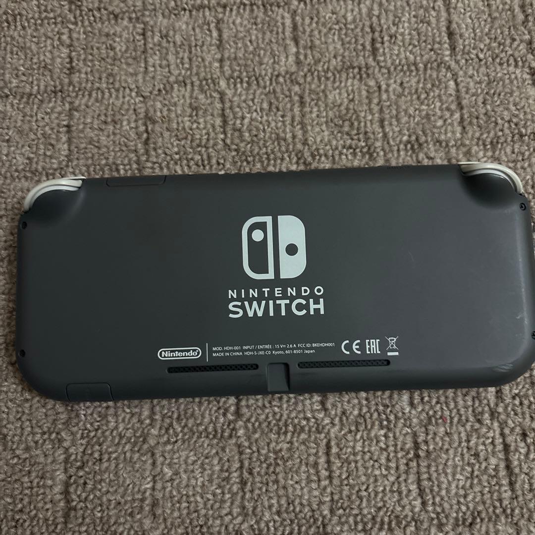 Nintendo Switch Lite 本体 ケース・ライトスタンド付き