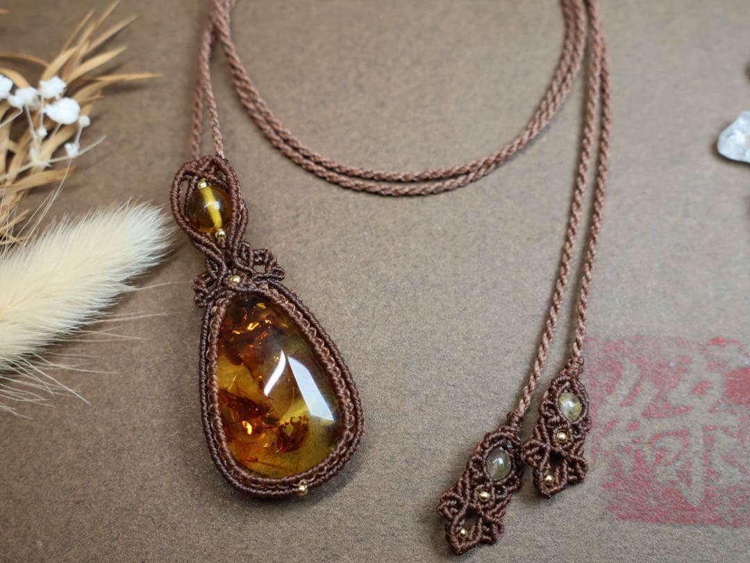 でんちゃん 8/22