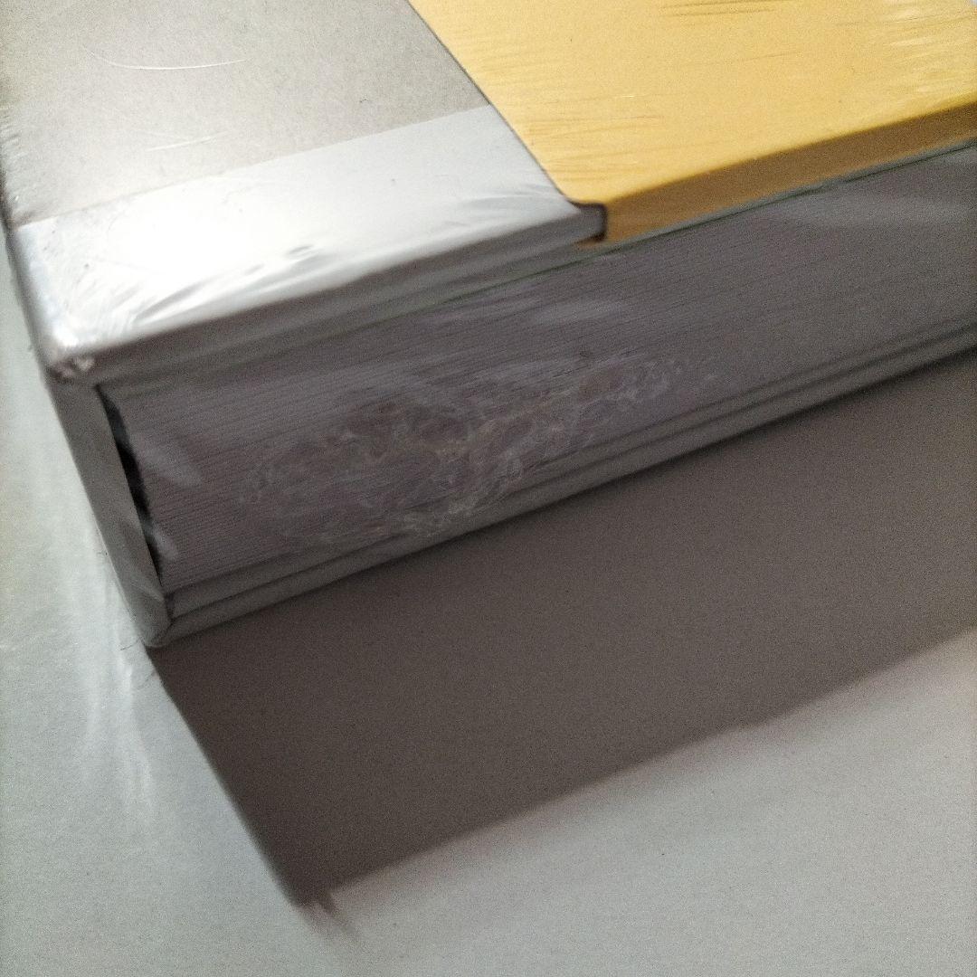 Bruce Nauman The True Artist　ブルース・ナウマン