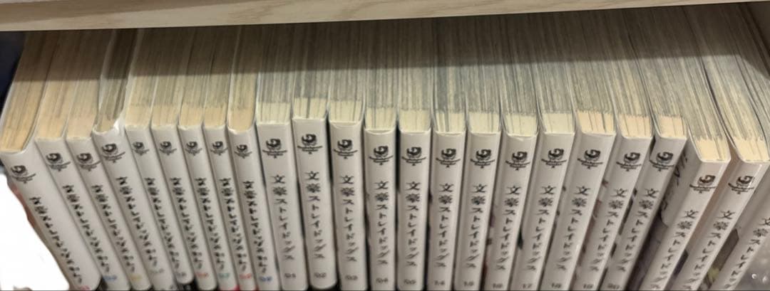 文豪ストレイドッグス 1～5、14～23巻＋関連本セット+非売品カレンダー