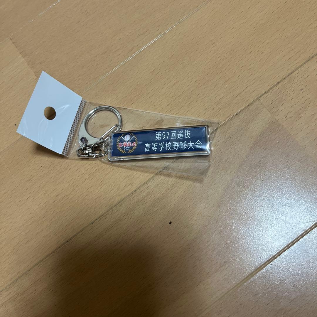 野球シャツデザイン キーホルダー 8点セット