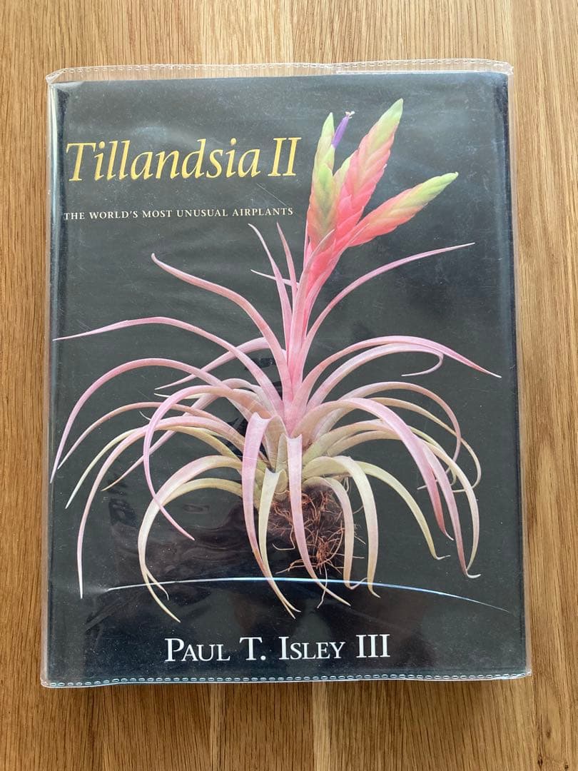 趣味・スポーツ・実用 Tillandsia II Paul T. Isley III