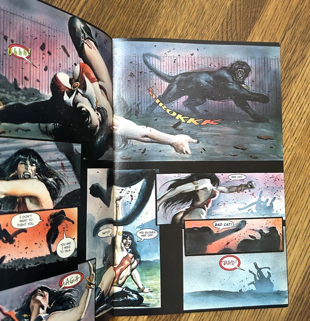 PANTHA #1　VAMPIRELLA VS. PANTHA　1997