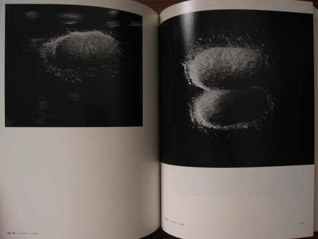 安井仲治　写真集　Nakaji Yasui　展覧会チラシ付き