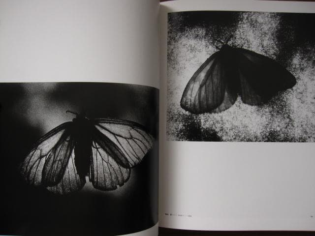 安井仲治　写真集　Nakaji Yasui　展覧会チラシ付き