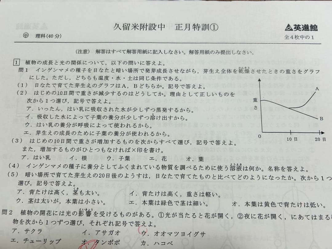 ごったんふくたん4