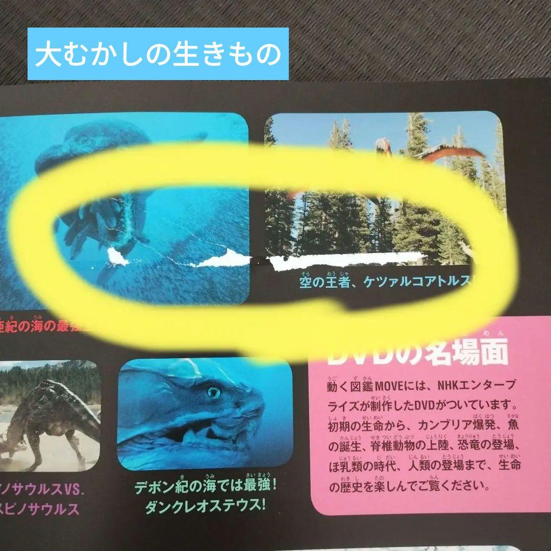 講談社の動く図鑑MOVE ムーブ　10冊DVD付き＋くらべる図鑑 1冊