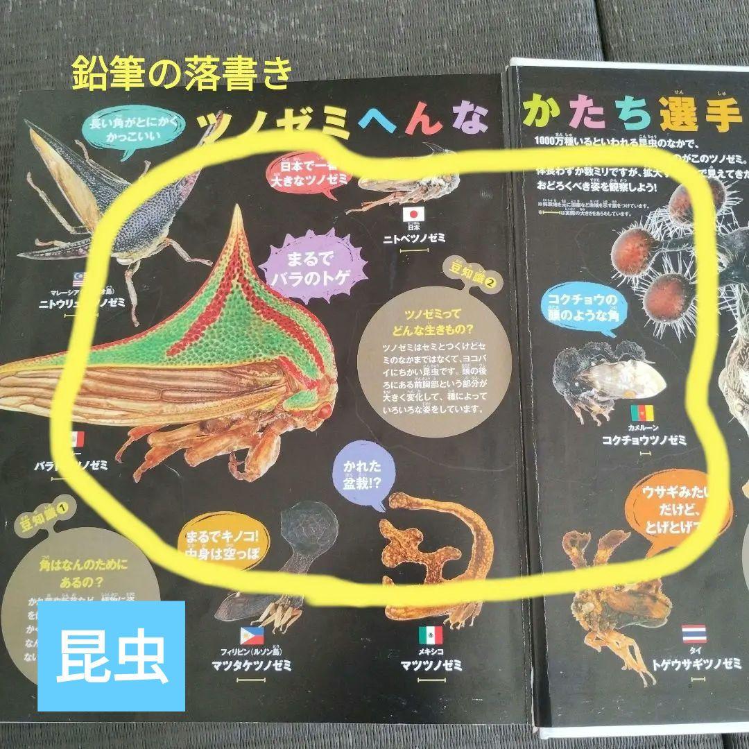 講談社の動く図鑑MOVE ムーブ　10冊DVD付き＋くらべる図鑑 1冊