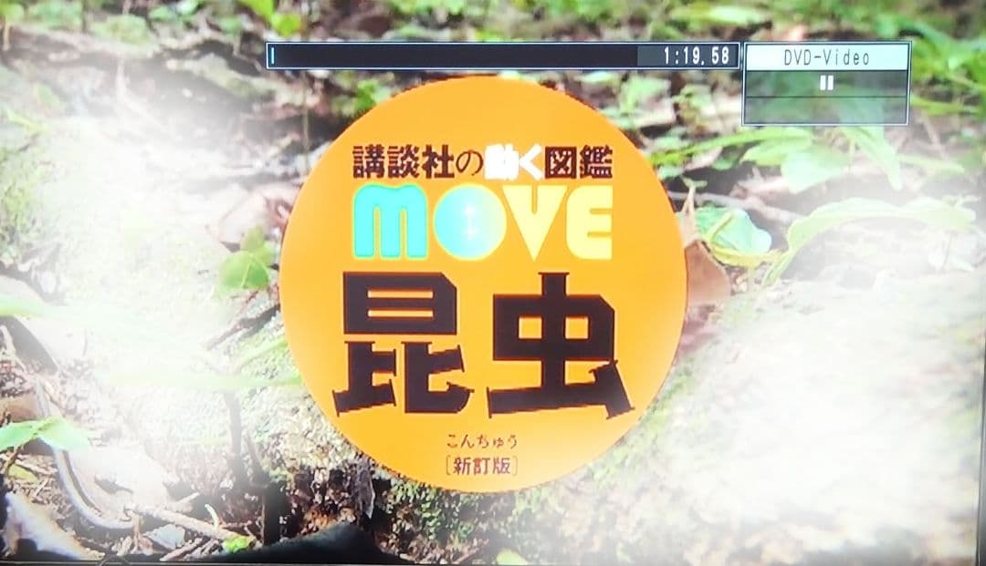 講談社の動く図鑑MOVE ムーブ　10冊DVD付き＋くらべる図鑑 1冊