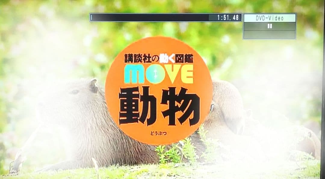 講談社の動く図鑑MOVE ムーブ　10冊DVD付き＋くらべる図鑑 1冊