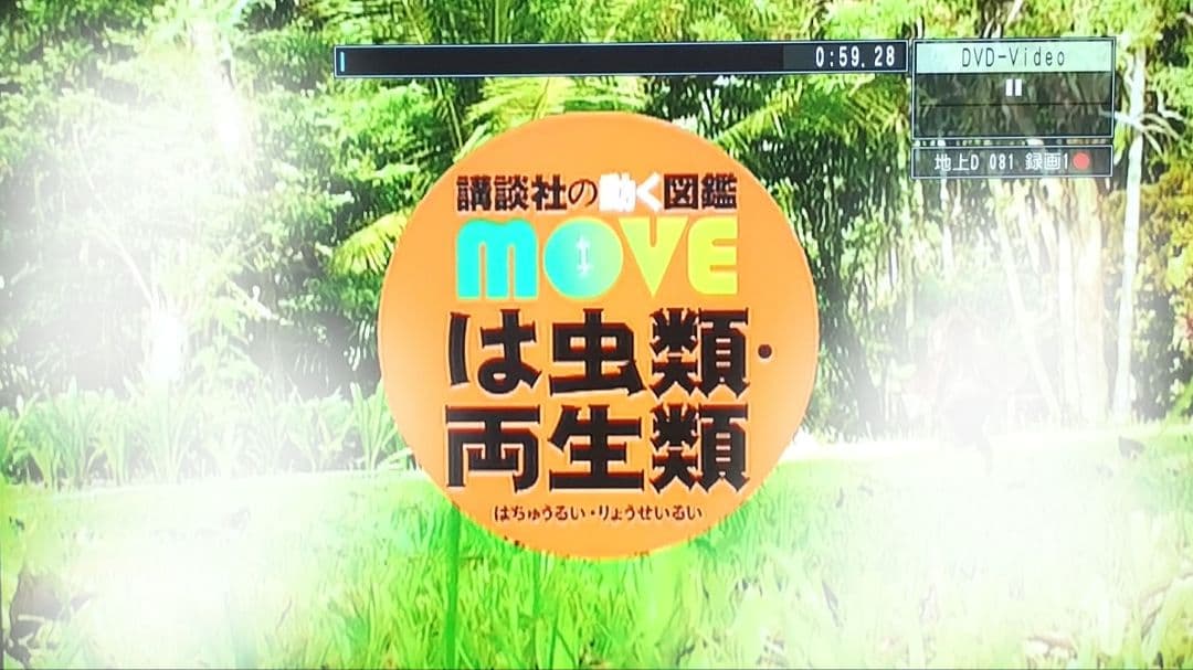 講談社の動く図鑑MOVE ムーブ　10冊DVD付き＋くらべる図鑑 1冊