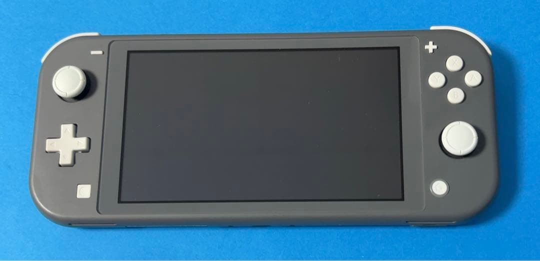Nintendo Switch Lite グレー　本体 【動作確認済】