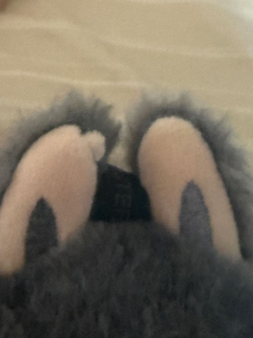 POP MART ラブブ シークレット