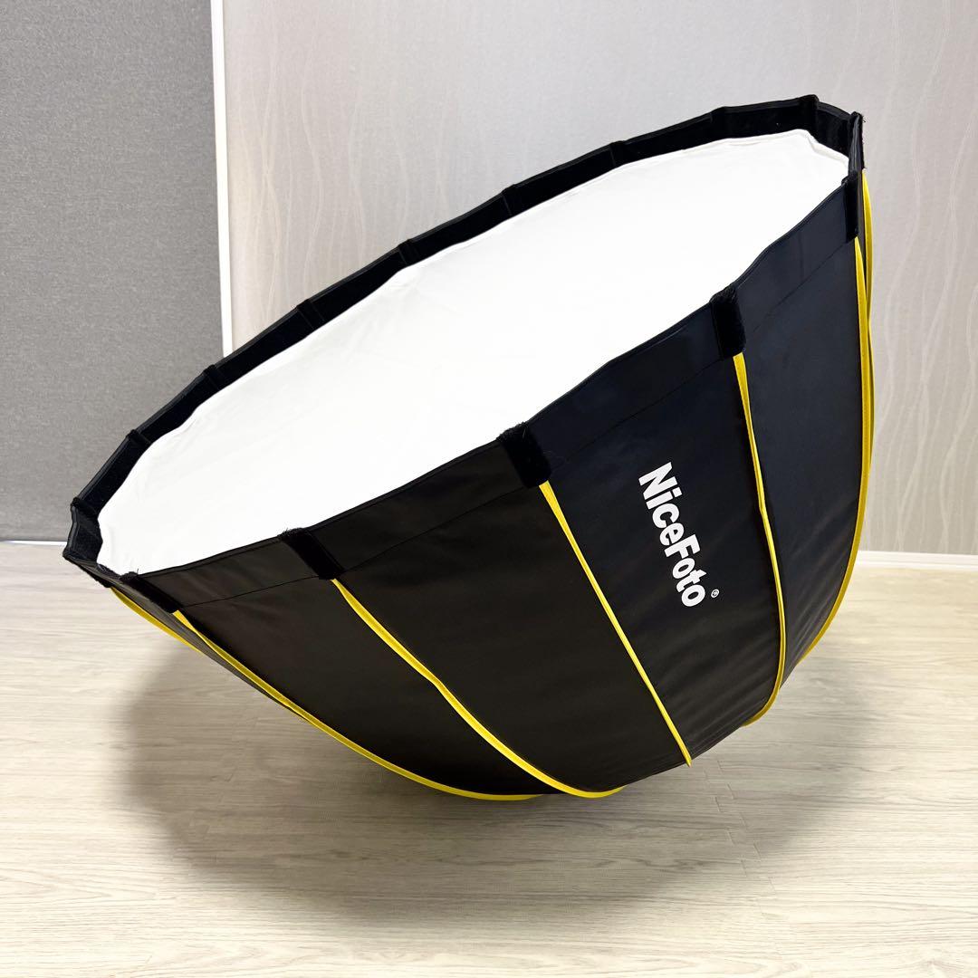 ソフトボックス＆スタンド付きAputure C120dII 動画撮影用ライト