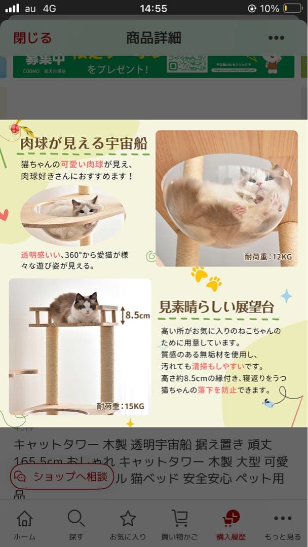 木製キャットタワー 165.5cm/seira