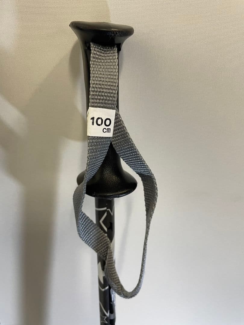 ジュニア用スキー板swallow130ストック100付き