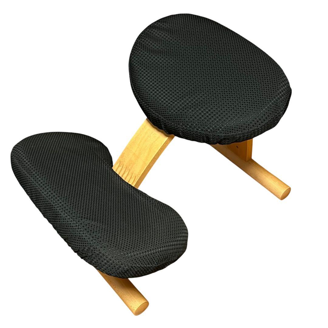 極美品 balans Easyバランスチェア イージー ネイビー カバー付き