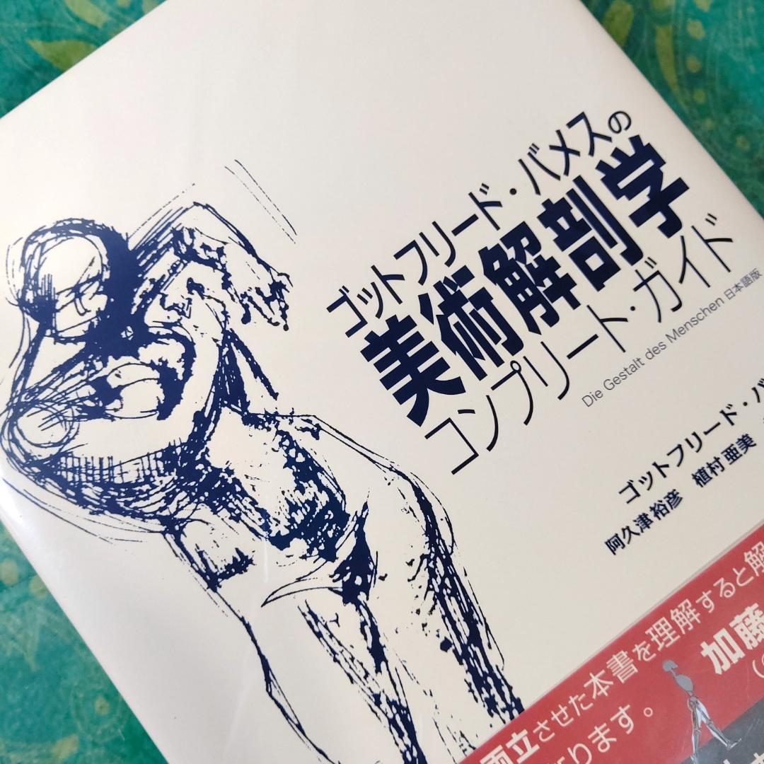 ゴットフリード・バメスの美術解剖学