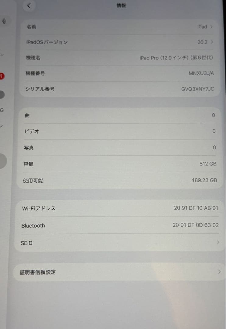 iPad Pro(第6世代 12.9インチ) 512gb