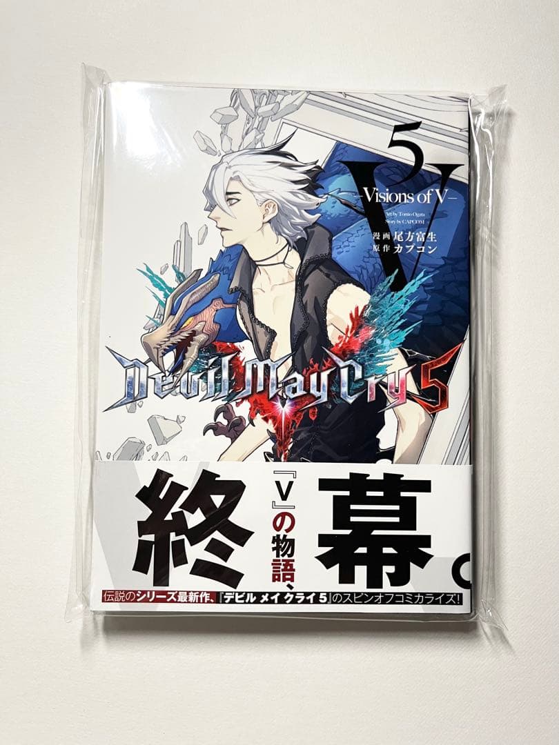Devil May Cry 5 Visions of V 5 5巻