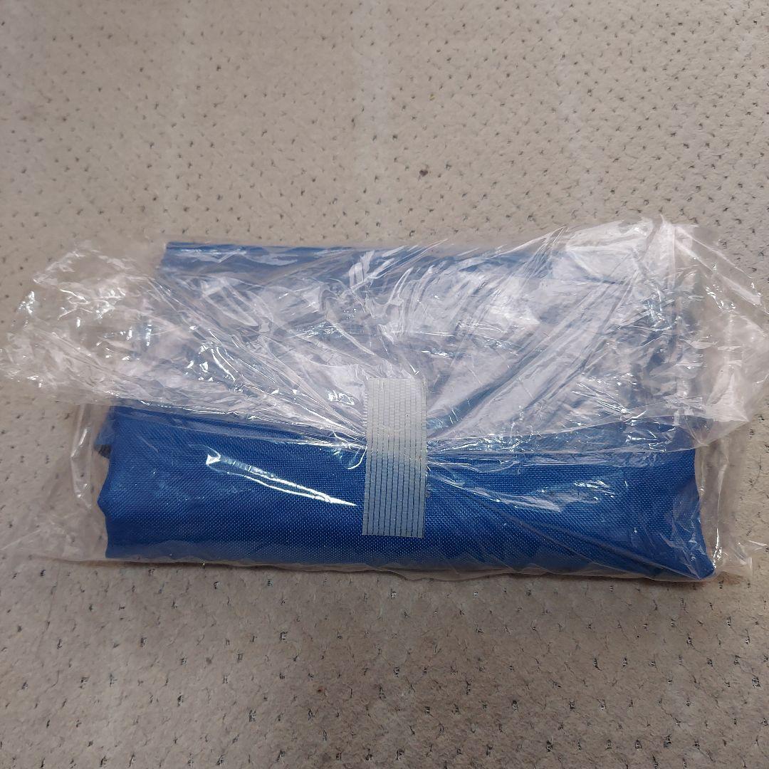 【追加画像あり】DWE プレイアロング　おもちゃDVDCD　フロギー＆バニー