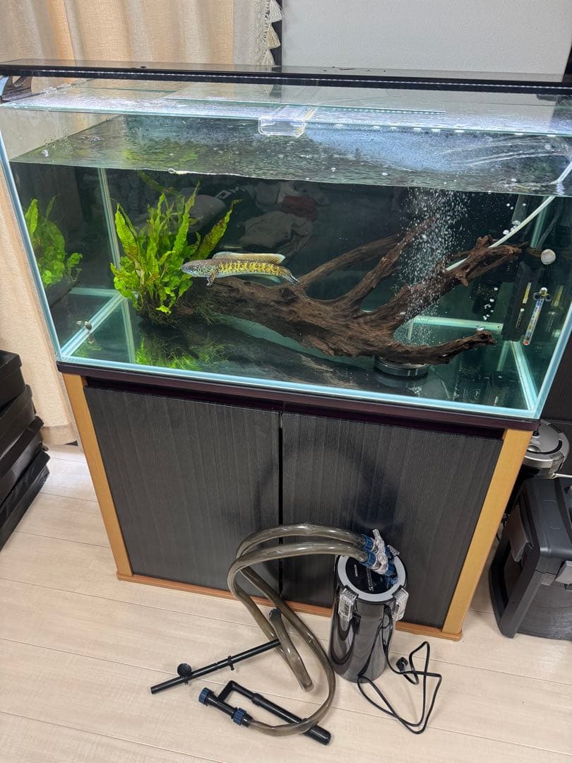 お引取限定 90センチ　ガラス水槽　水槽台　外部フィルター　セット