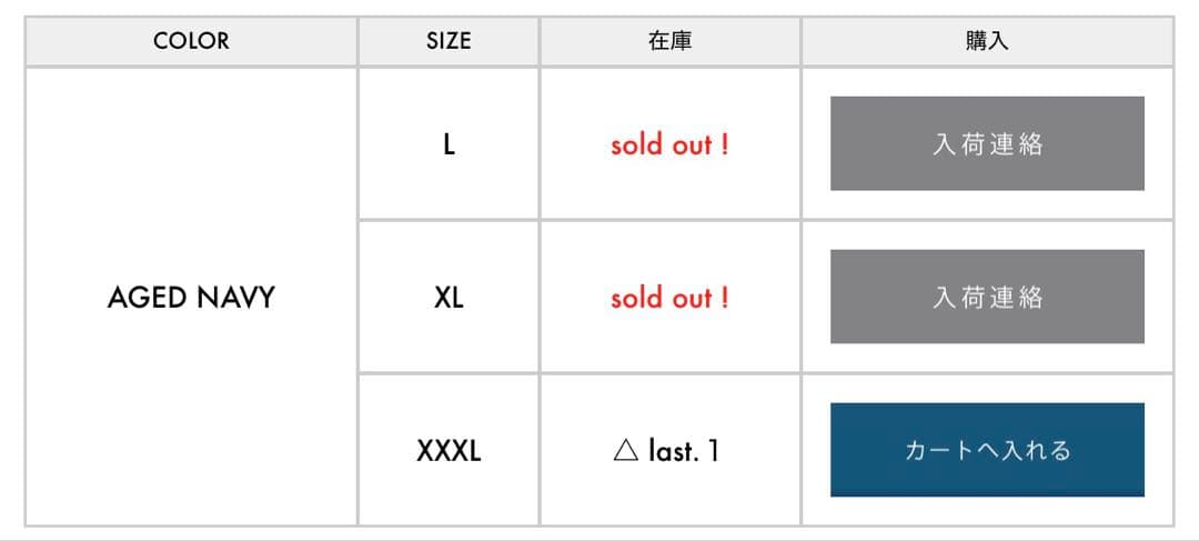 BOW WOW / ESSENTIAL CHINO PANTS AGED　XL