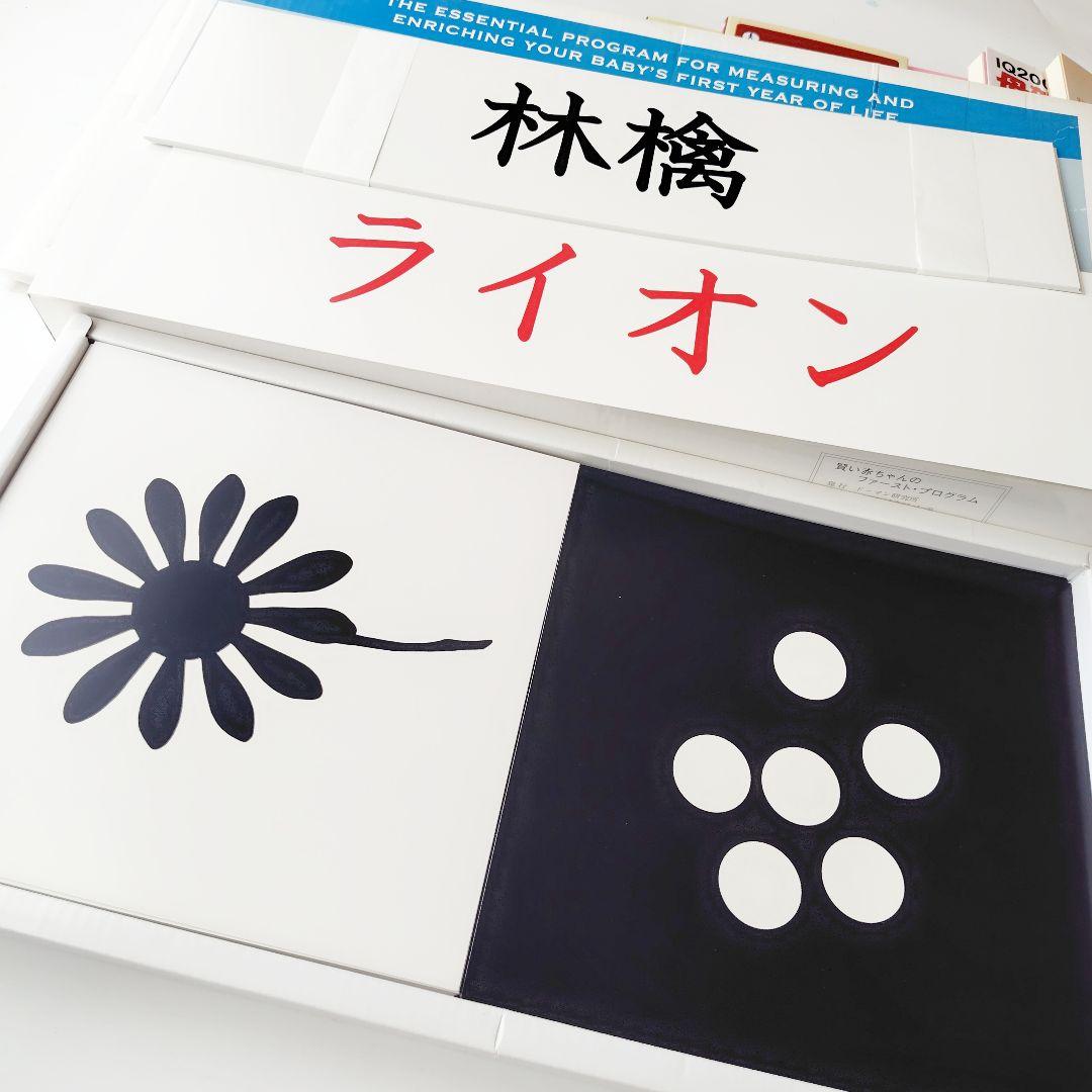 家庭保育園 ファーストプログラム 白黒ドッツカード 絵カード 赤ちゃん