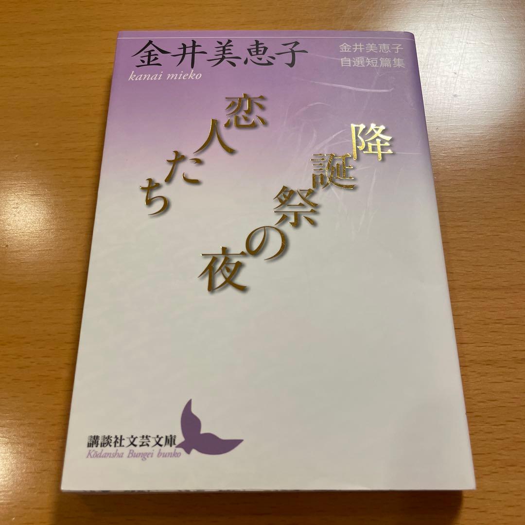 【絶版セット・希少・美品】 金井美恵子 自選短篇集 講談社文芸文庫 【匿名配送】