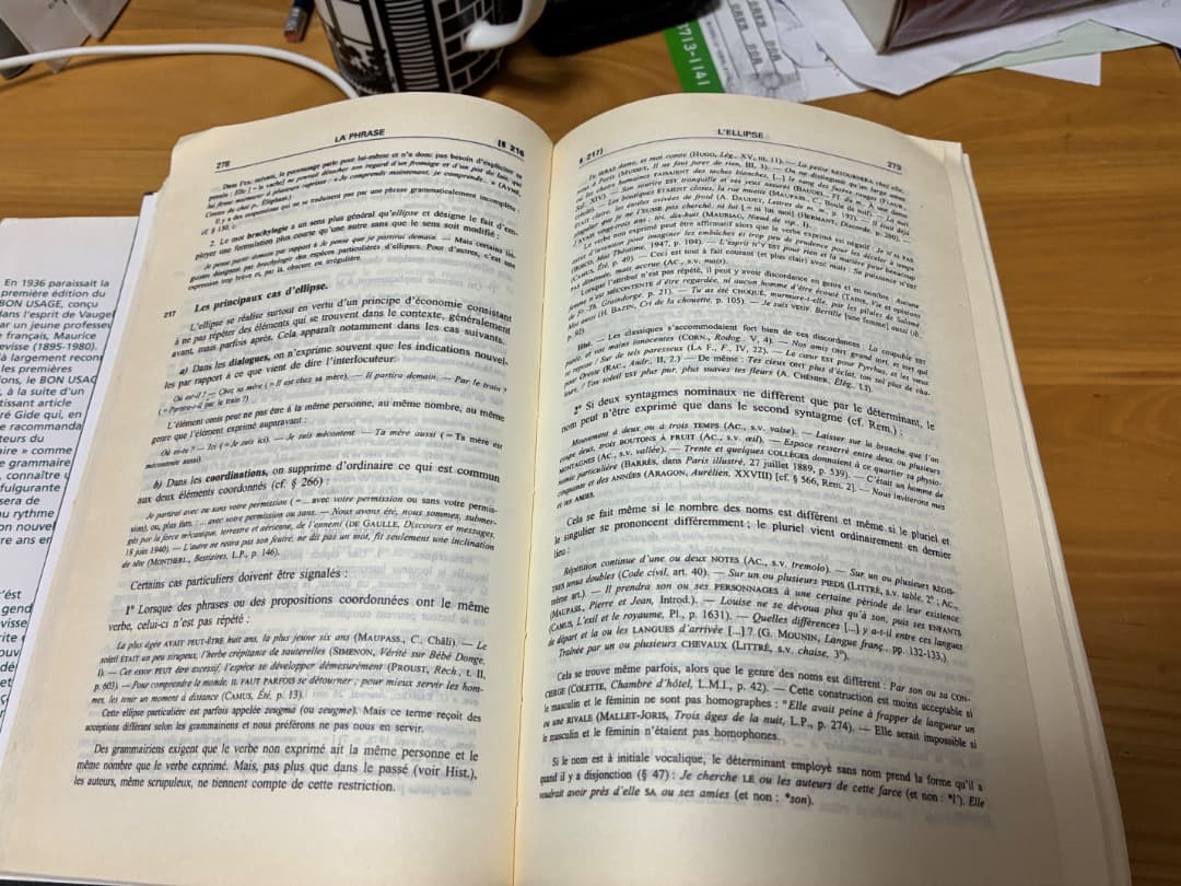 GREVISSE le bon usage 第十三版