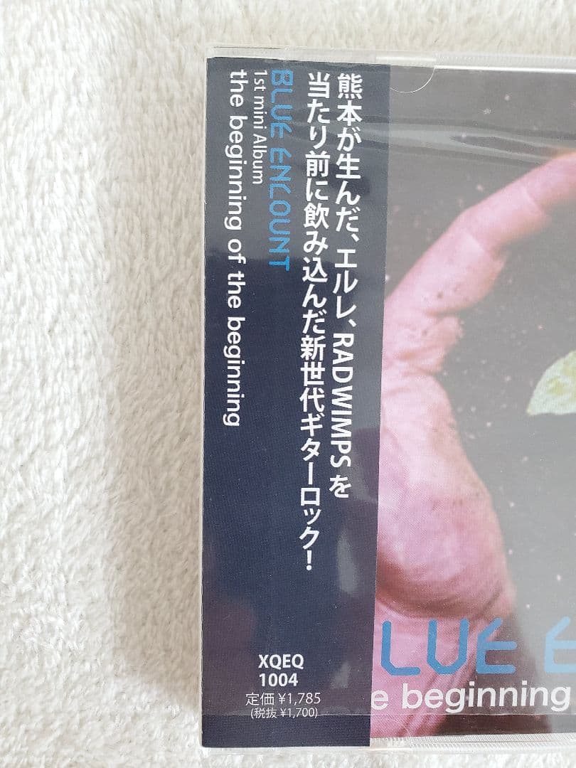 BLUE ENCOUNT　the beginning インディーズ　廃盤CDレア