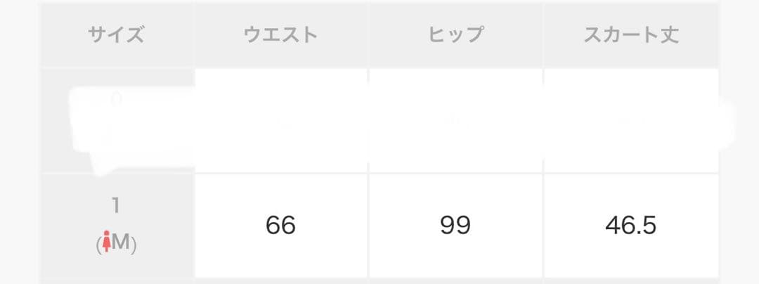 新品未使用タグ付きスナイデルミニスカート