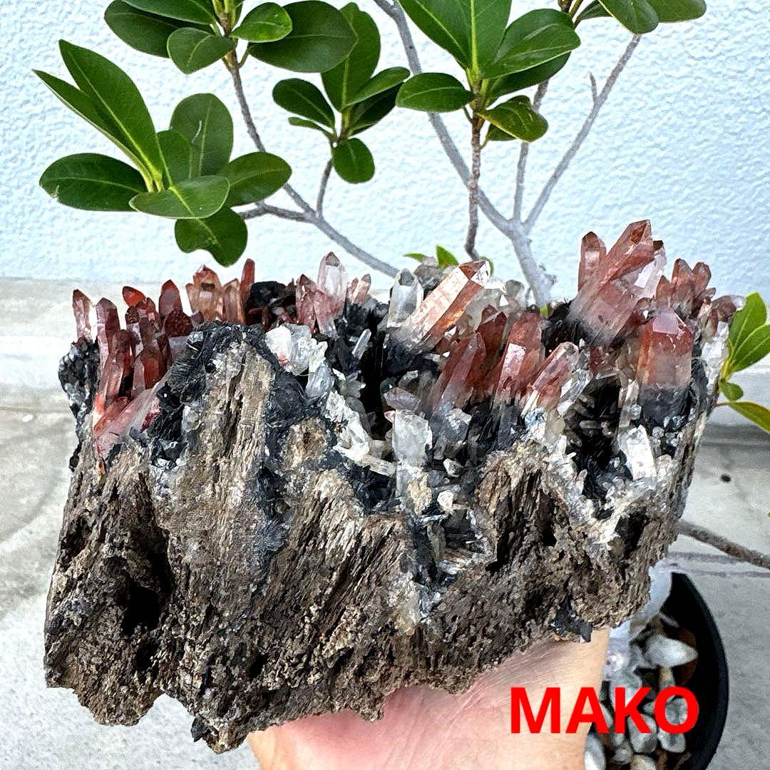 M1794☆アイアンローズ共生赤水晶クラスター1.7Kg☆広東省産☆N20720