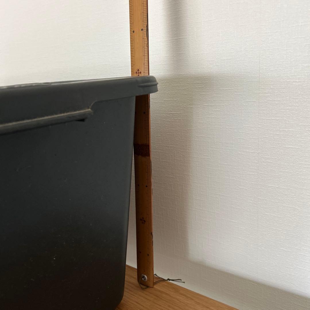 GENERAL VIEW コンテナ