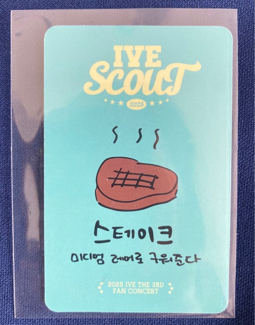 IVE SCOUT DIVE3期 トレカ ウォニョン