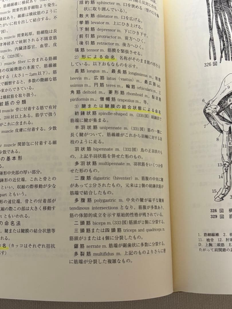 新編家畜比較解剖図説 上下巻セット