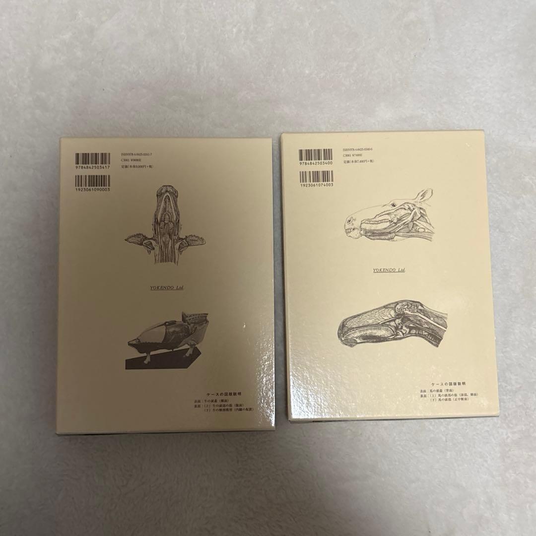 新編家畜比較解剖図説 上下巻セット