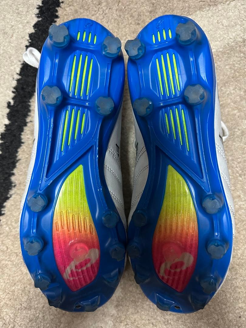 シューズ DS LIGHT X-FLY PRO 3(25.5cm)