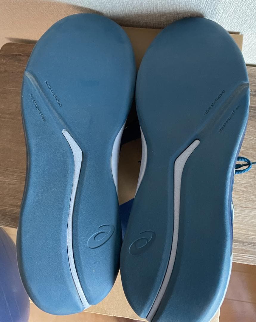 【美品】ASICS GEL-CHALLENGER テニスシューズ(カーペット用)