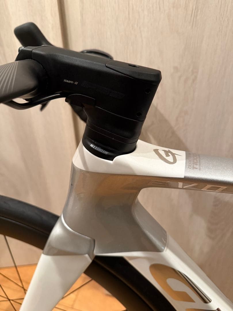 GUSTO DURO EVO SPORT TE(2025年モデル、105di2)