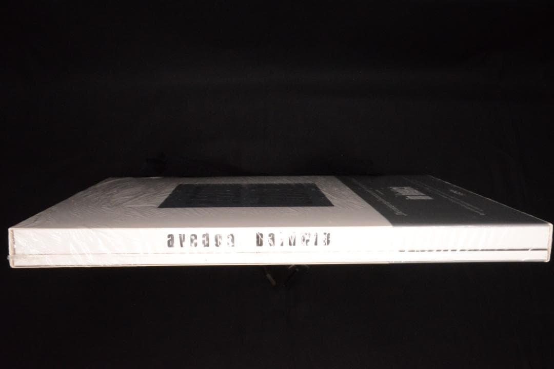 【Avedon Baldwin】Richard Avedon 　★★大幅に値下げ